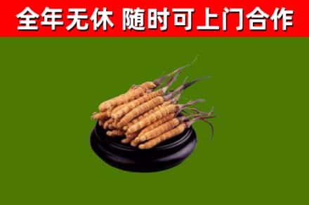 张北县烟酒回收冬虫夏草.jpg