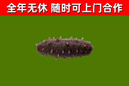 张北县烟酒回收干海参.jpg